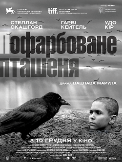 пофарбоване пташеня птах