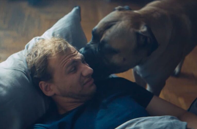 Короткометражный фильм «Бульмастиф» вышел онлайн