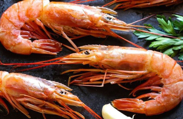 Как выбрать самые вкусные креветки в Киеве?