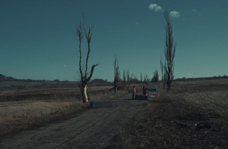 Світова прем’єра фільму «Сірі бджоли» відбудеться на кінофестивалі у Роттердамі
