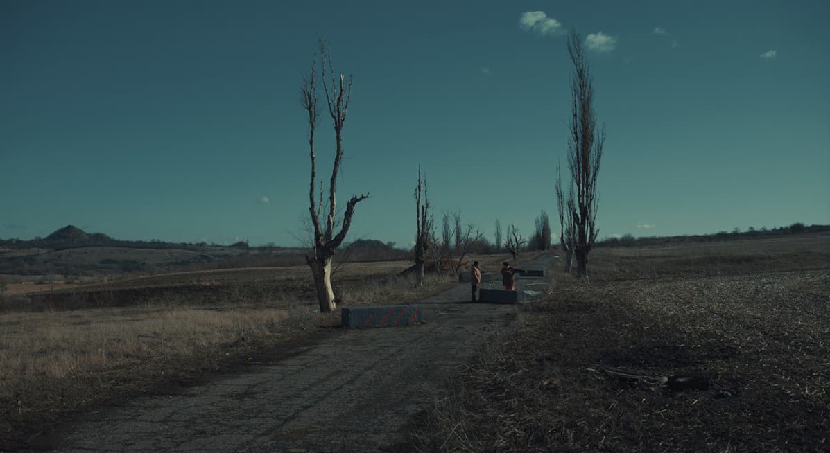 Сірі Бджоли