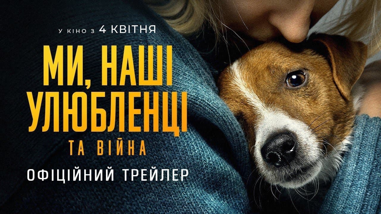 Ми, наші улюбленці та війна