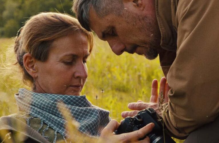 Український фільм “Порцелянова війна” номінований на премію кінокритиків США
