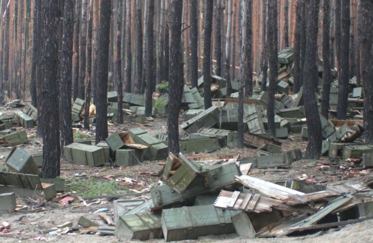 Представлено тизер нового документального фільма Дмитра Грешка “Дівія / Divia”