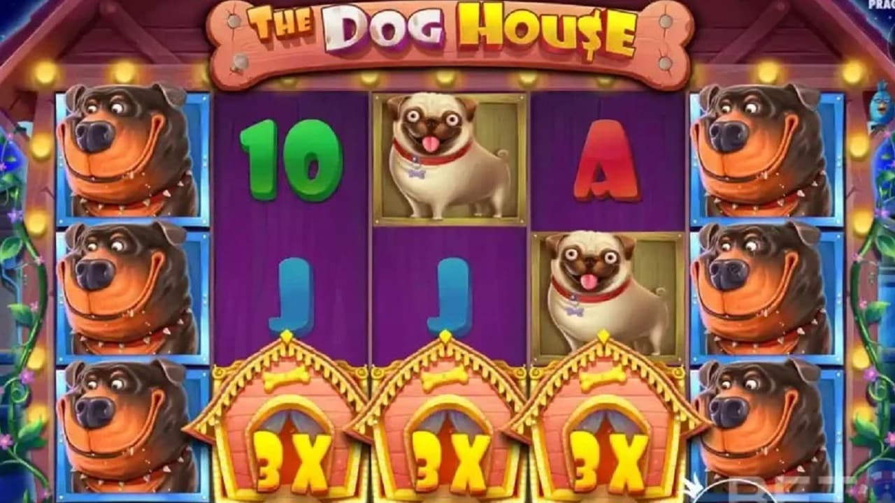 The Dog House – слот розроблений студією Pragmatic Play та вийшов у 2019 році.
