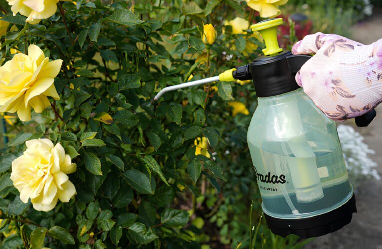 Легкий садовый опрыскиватель для ежедневного ухода за растениями – почему такой вариант оптимальный