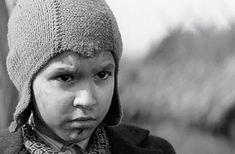 З’явився український трейлер драми «Пофарбоване пташеня»