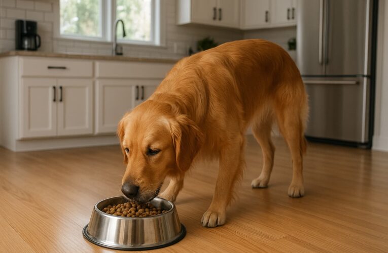 Гипоаллергенный корм Brit Care: краткое руководство по выбору