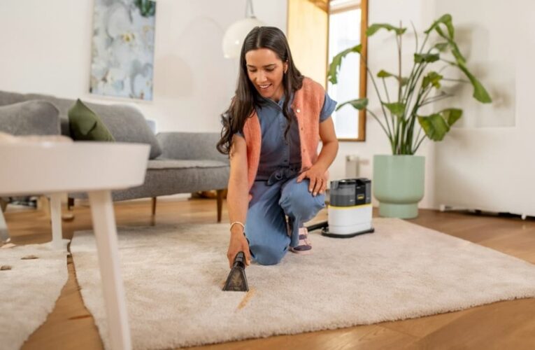 Почему пылесосы Karcher долговечные 